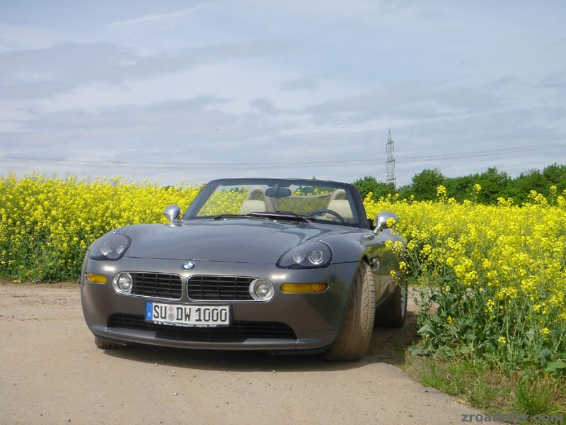 "May"n Z8