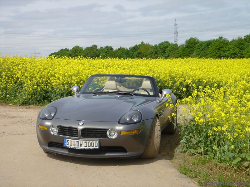 "May"n Z8