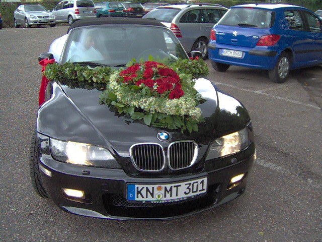 Mein geschmückter Zetti...