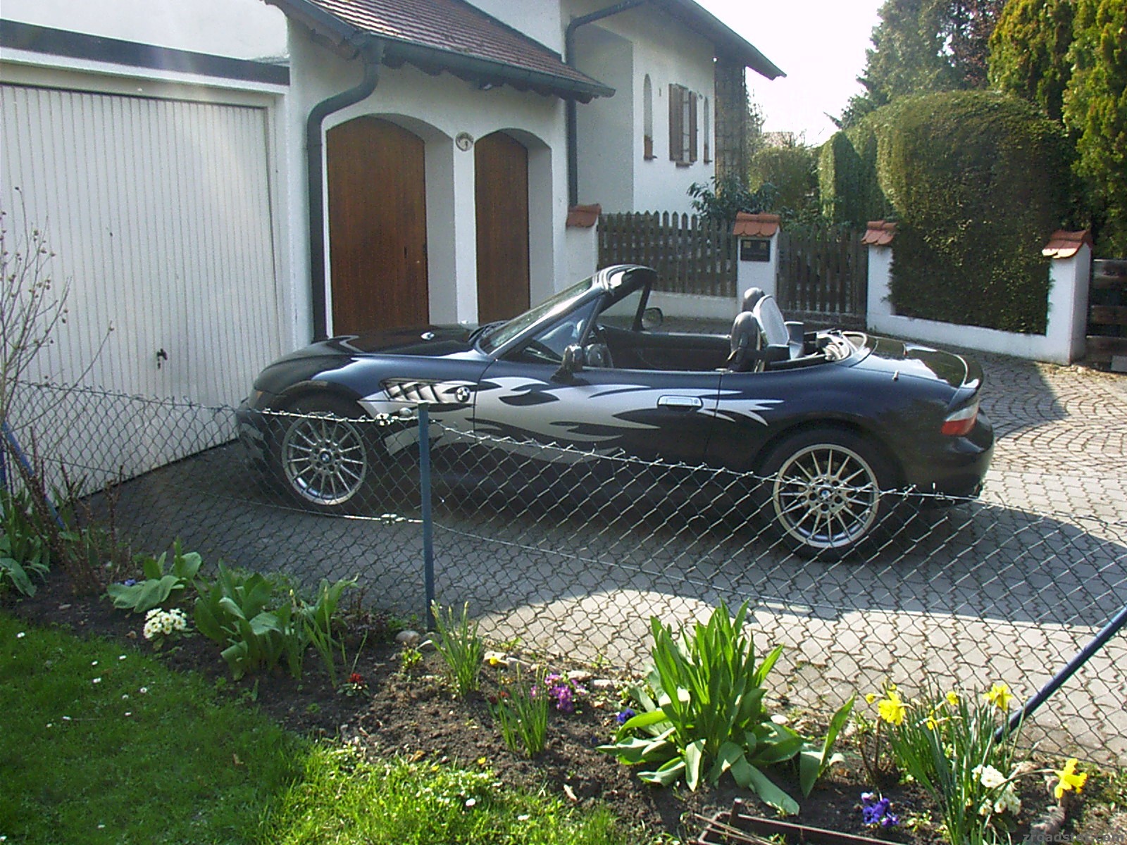 Mein kleiner Schwarzer 1