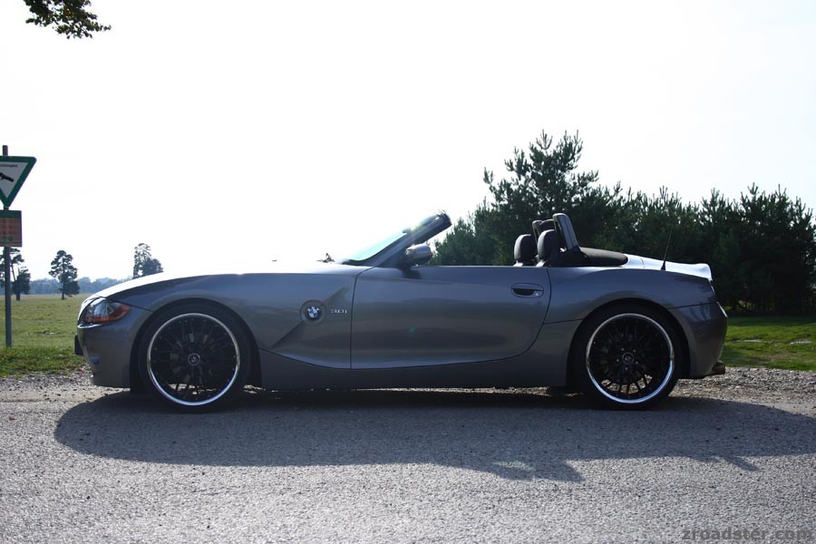 Mein sterling grey shark