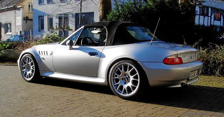 Mein Zetti im Sommertrimm 1