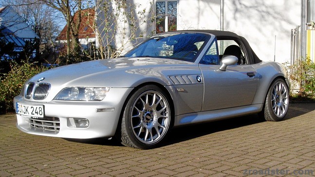 Mein Zetti im Sommertrimm 2