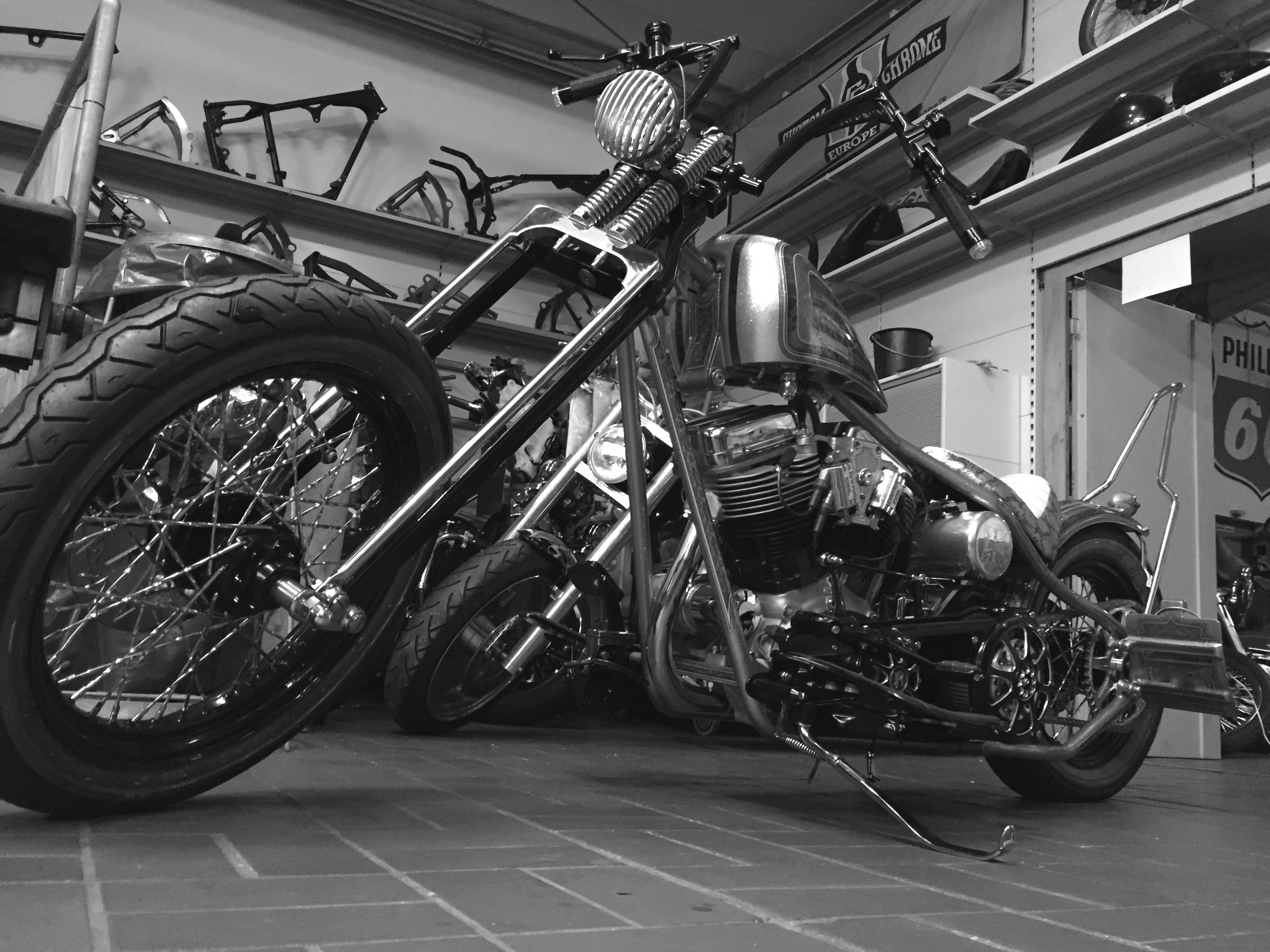 Meine JESSE JAMES