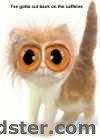 miaaauu