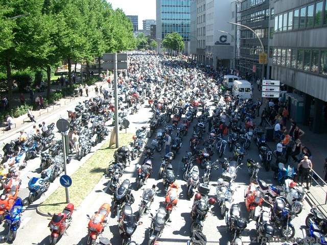 MOGO 2005