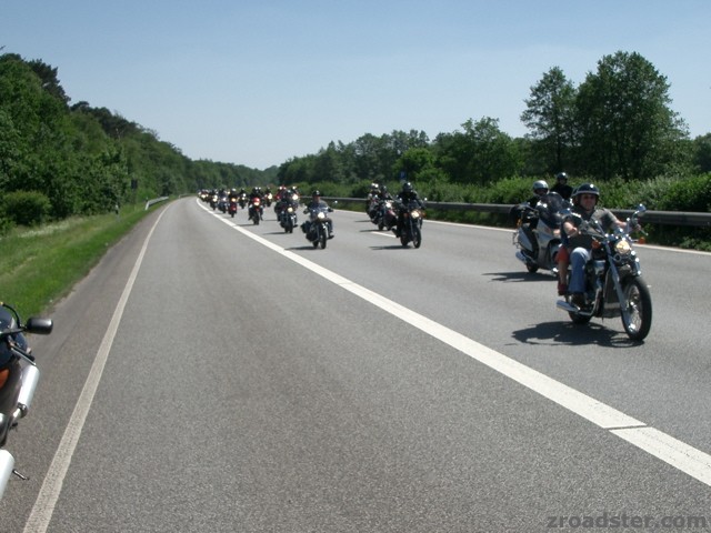 MOGO 2005