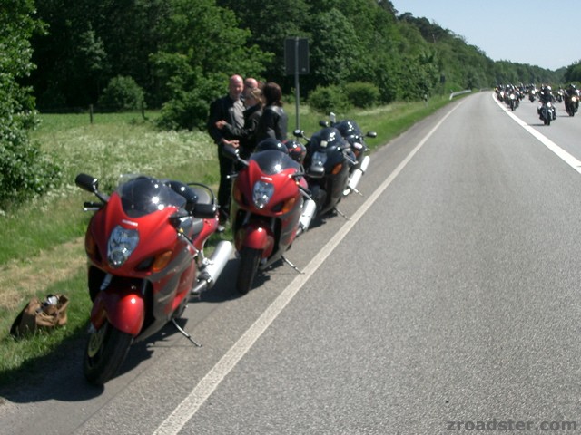 MOGO 2005