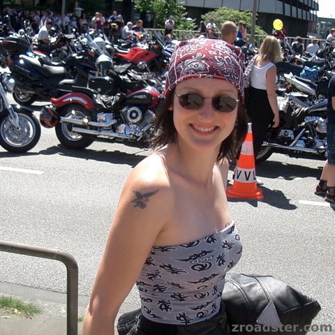 MOGO 2005