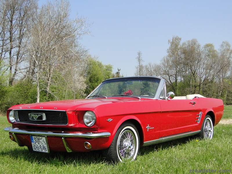 Mustang_-_klein