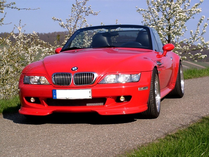 New Nose in the spring