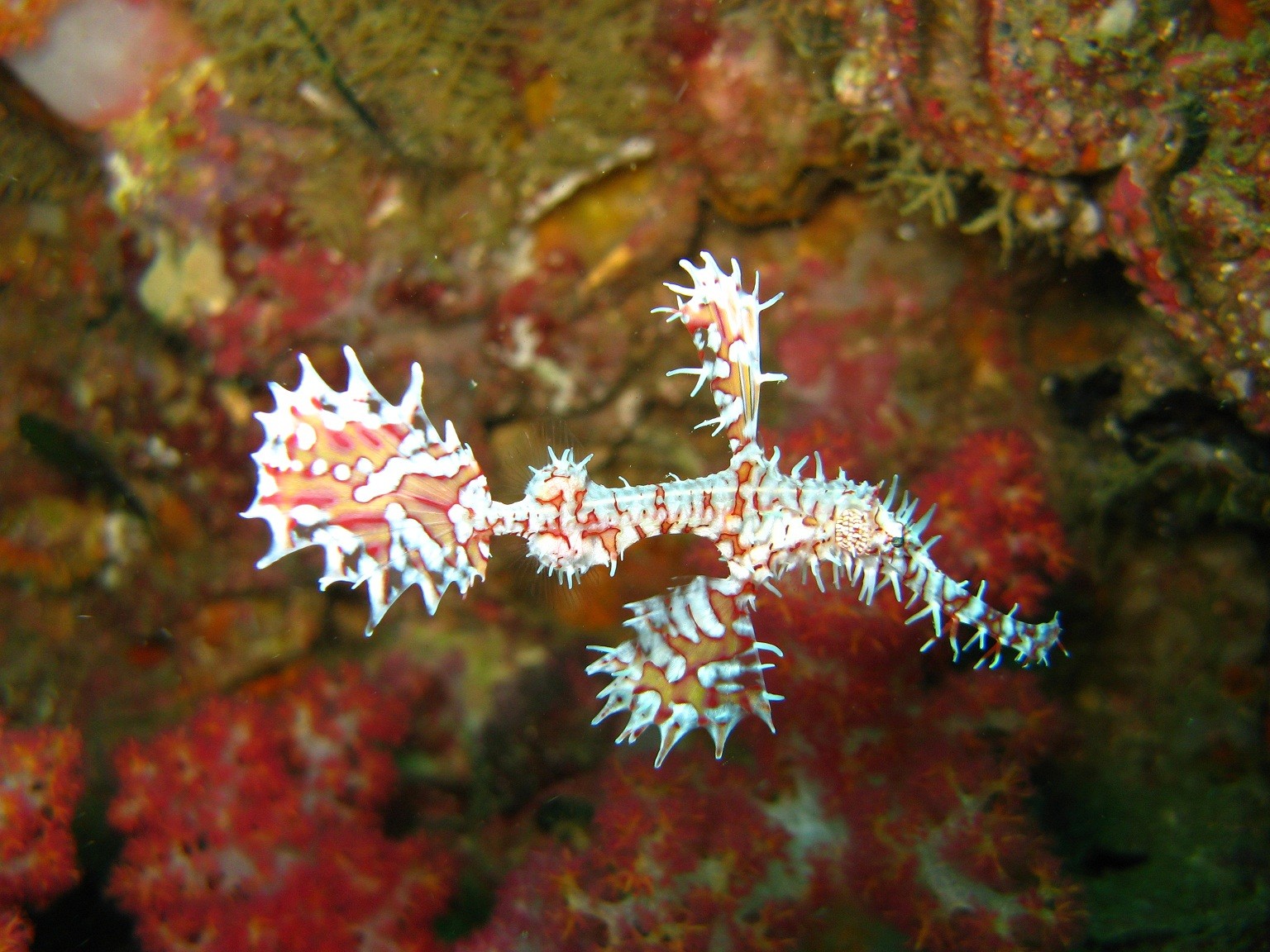 Phuket_2300