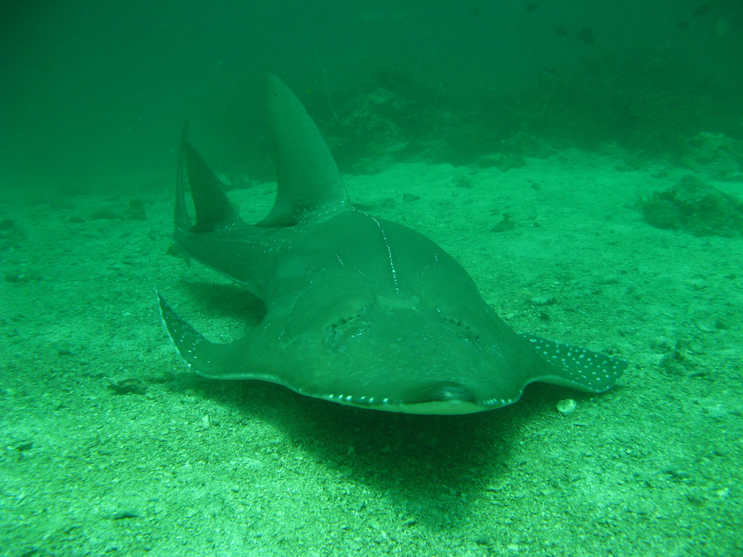 Phuket_2444