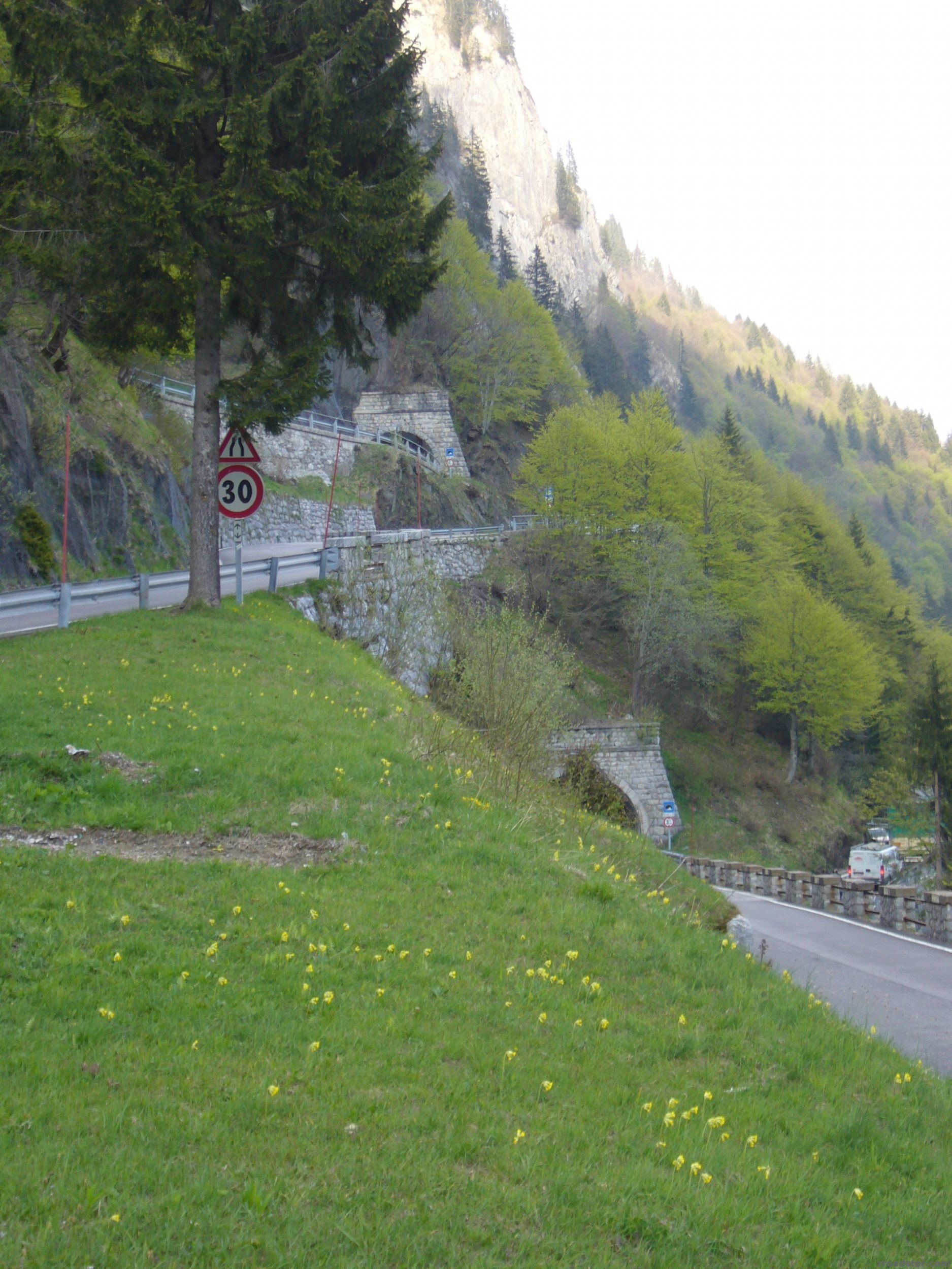Plöckenpass2