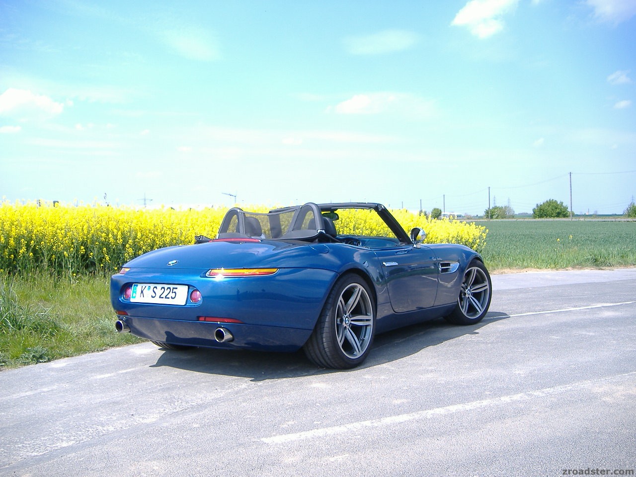 Rapsblau