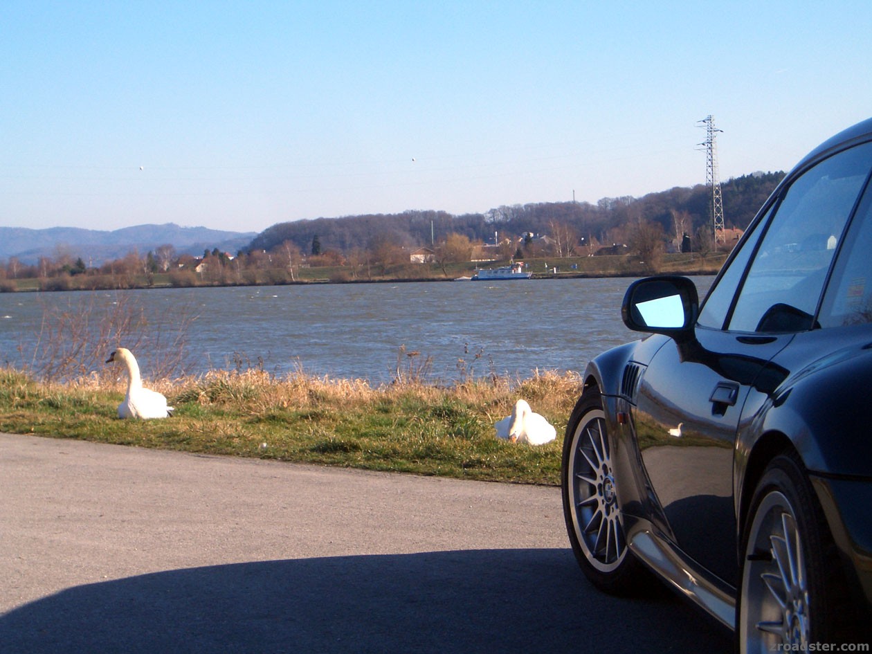 ride a white swan ...