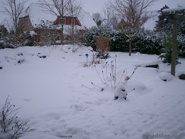 Schnee in S-H