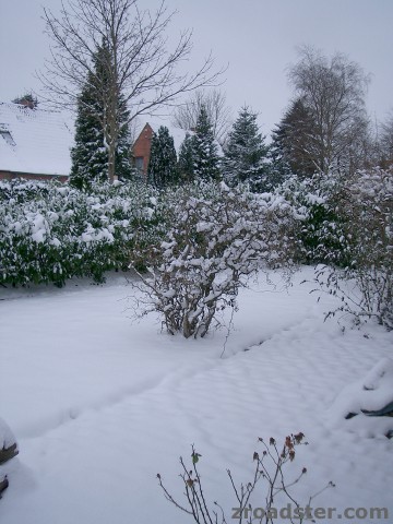Schnee in S-H
