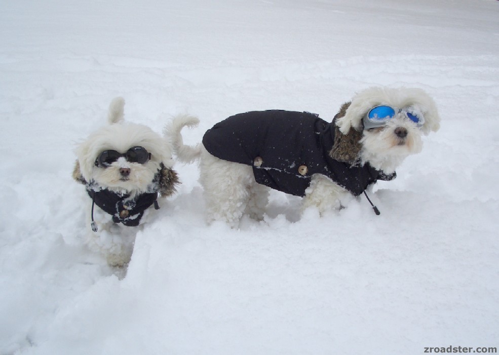 Schnee macht Spaß