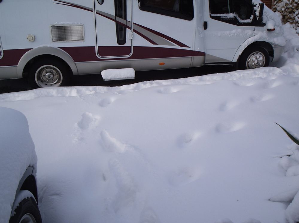 schnee_04_alois_buecker_elena_buecker