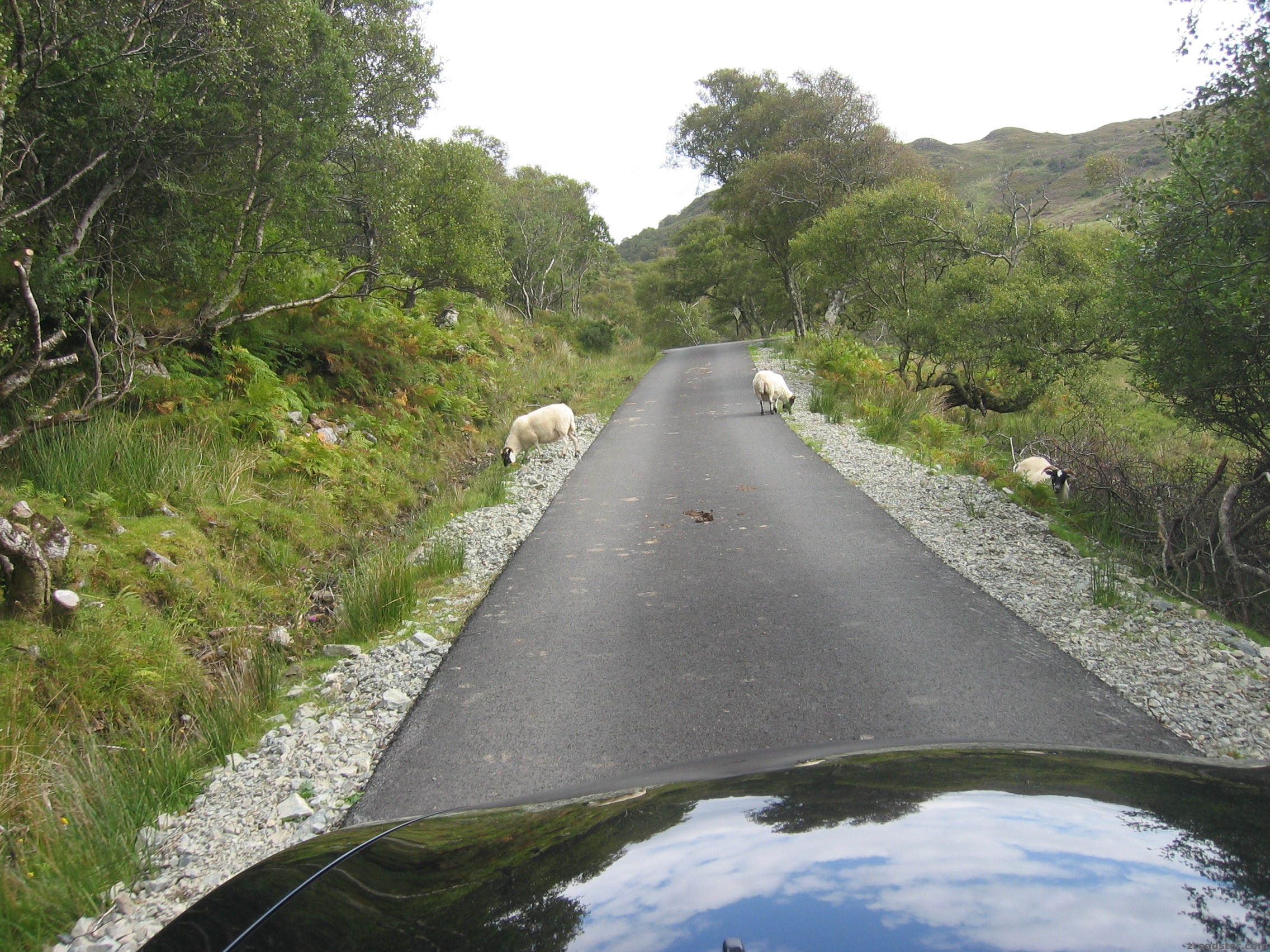 Schottland 2007