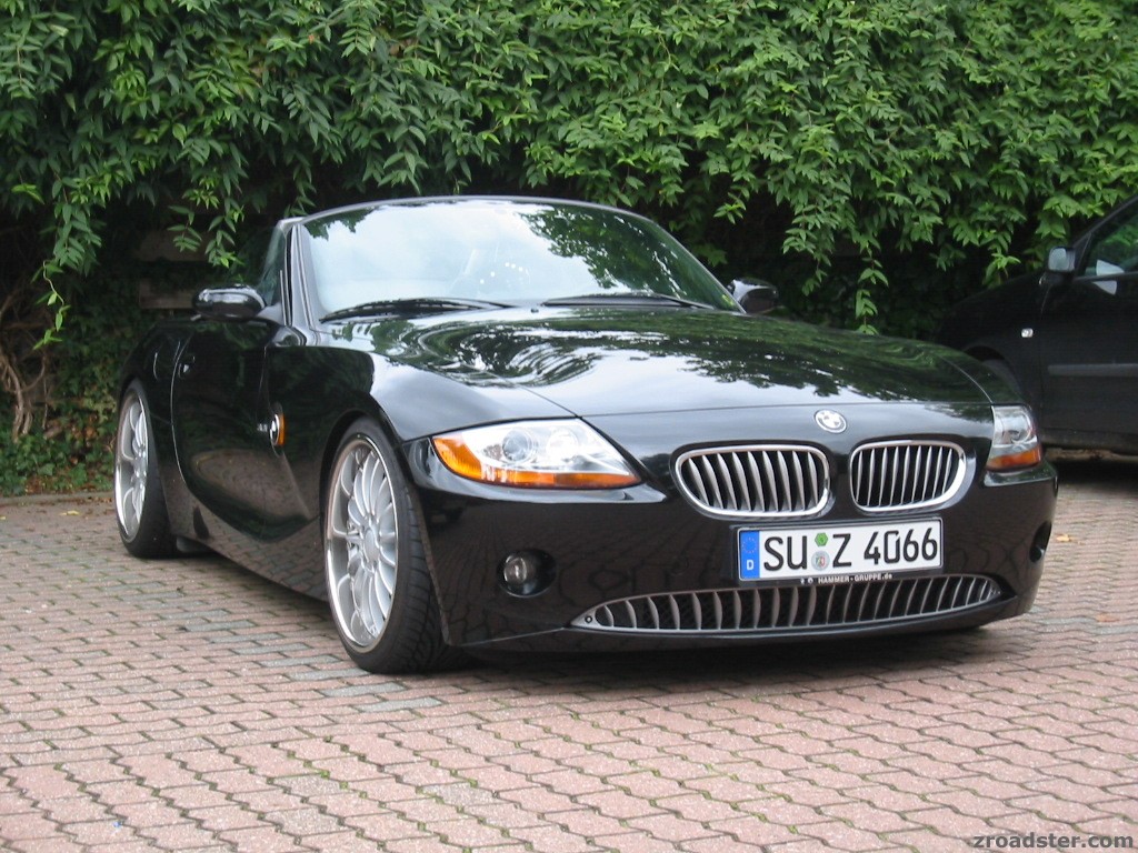 Shark Grill 3.0i (2)