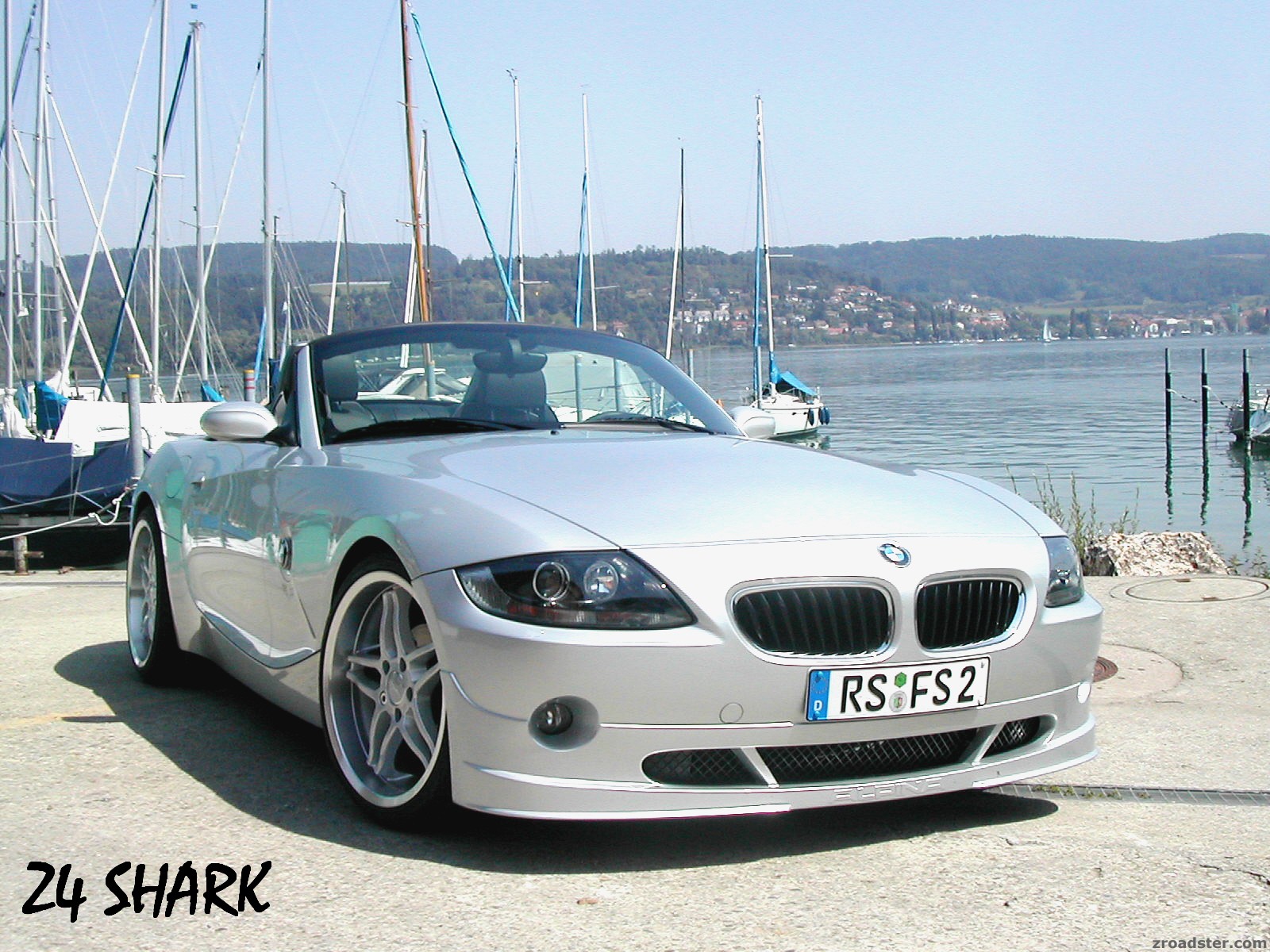SHARK`s Blick