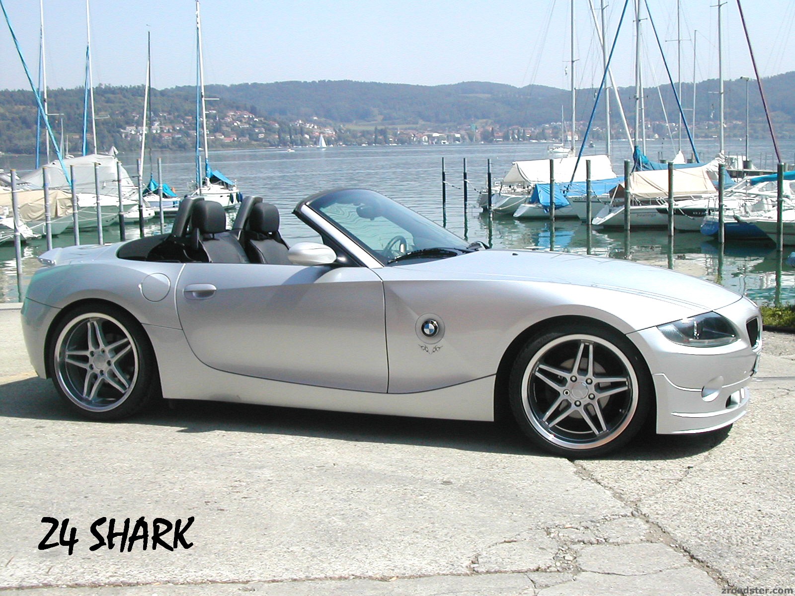 SHARK von einer anderen Seite