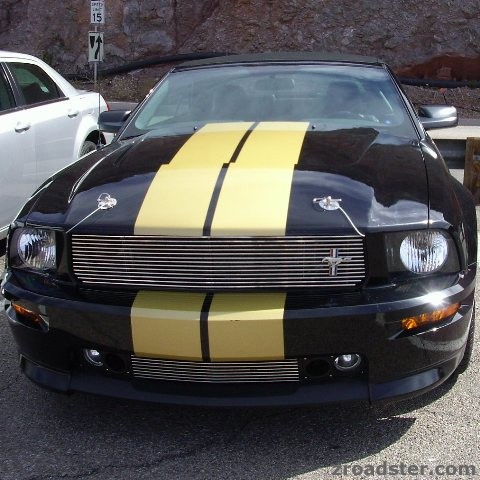 shelbi gt