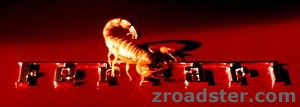 Skorp_kontrast_rs