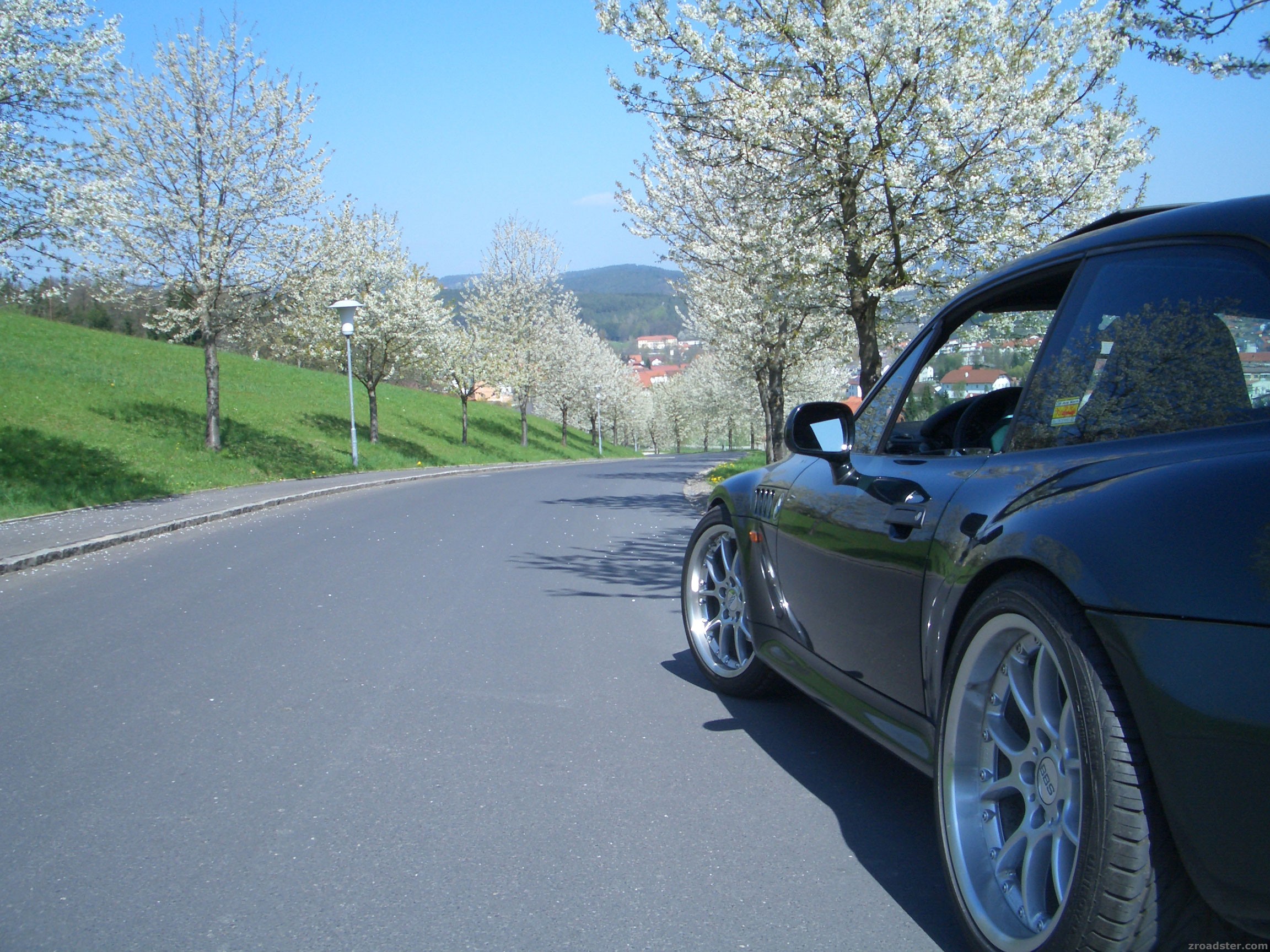 spring is in the air