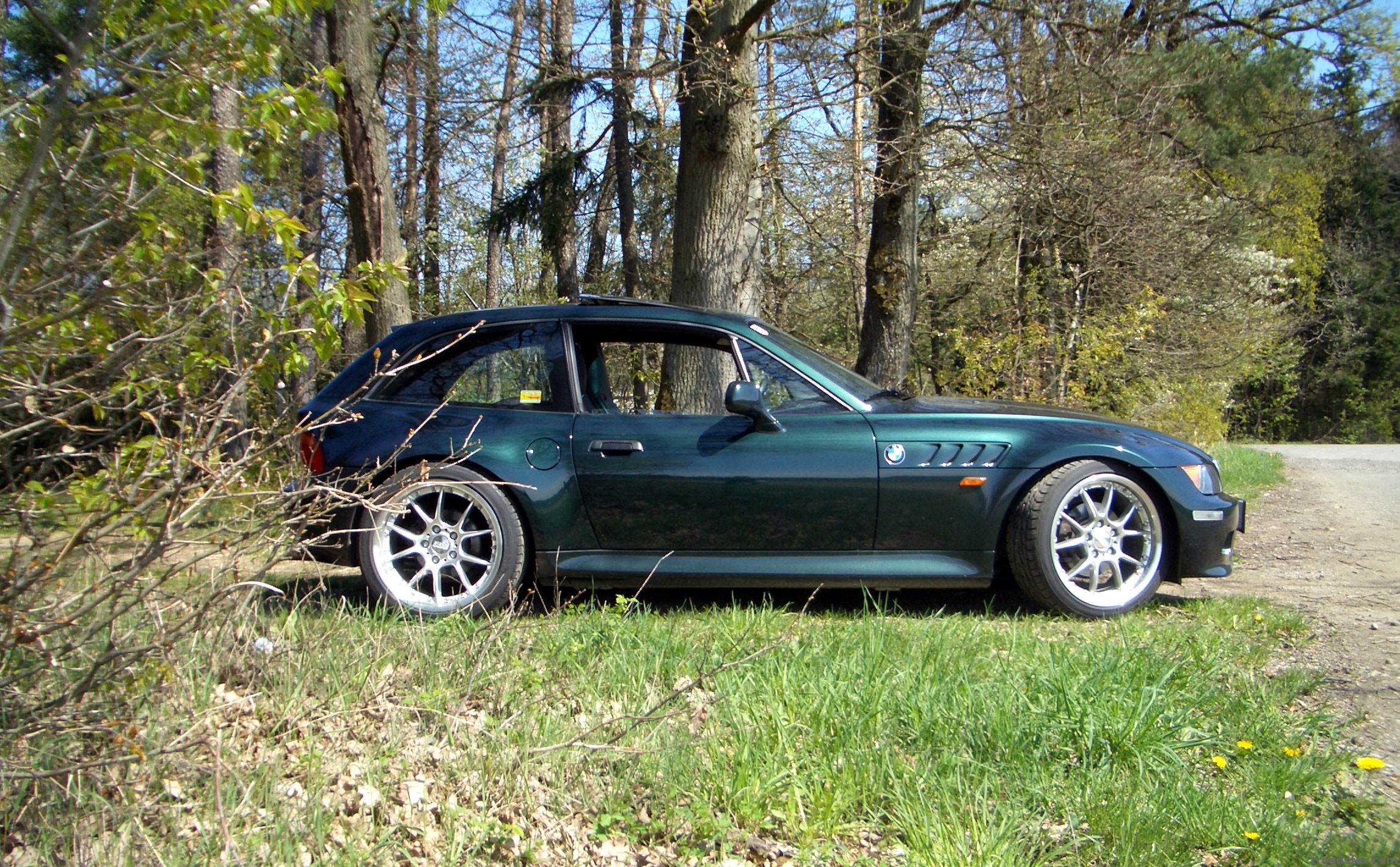 spring is in the air