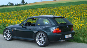 sunflower-sig
