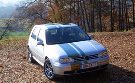 T-Car-sig