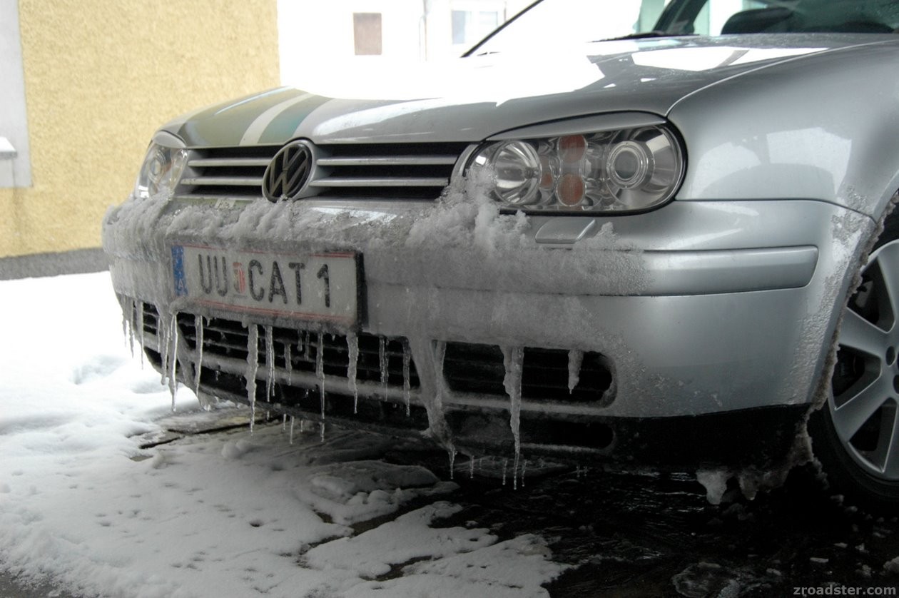 T-CAT mit grimmigem Blick