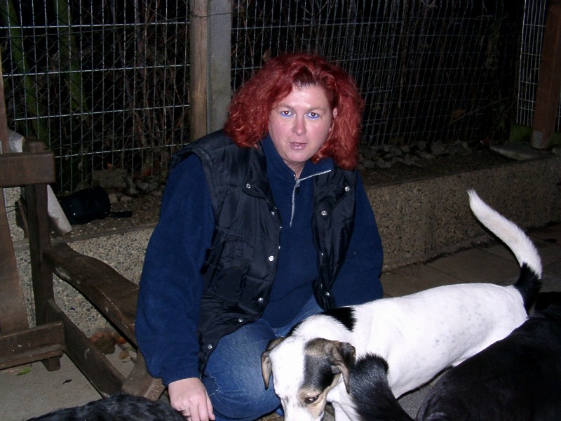 Tiere in Not 2004