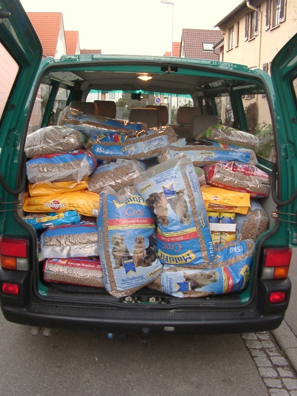 Tiere in Not 2004