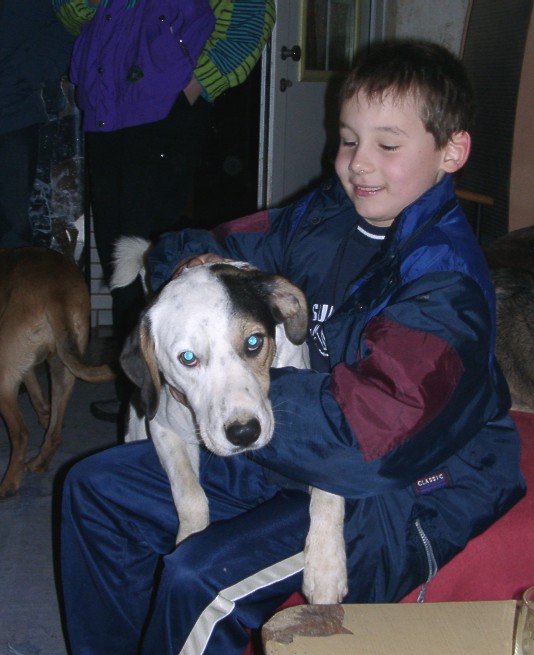Tiere in Not 2004
