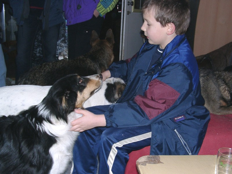 Tiere in Not 2004