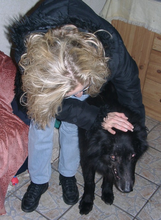Tiere in Not 2004
