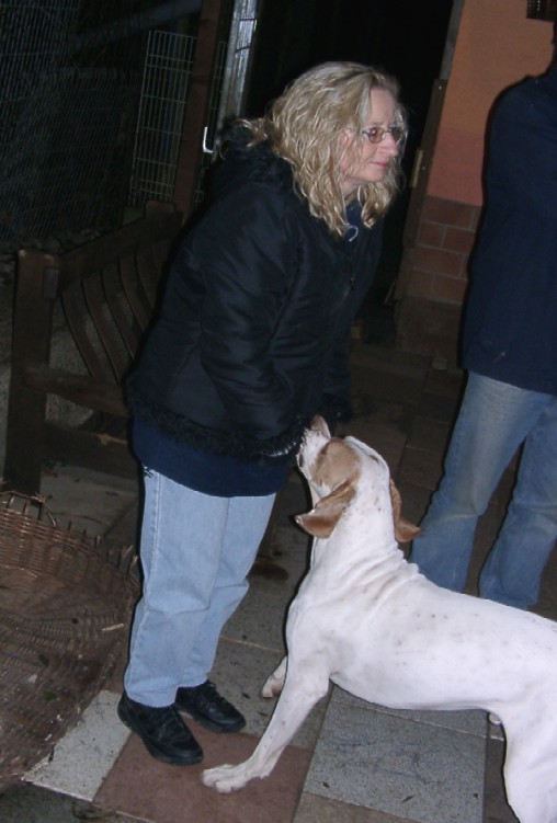 Tiere in Not 2004