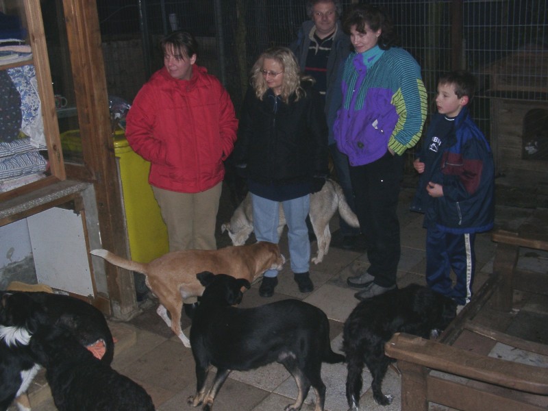 Tiere in Not 2004