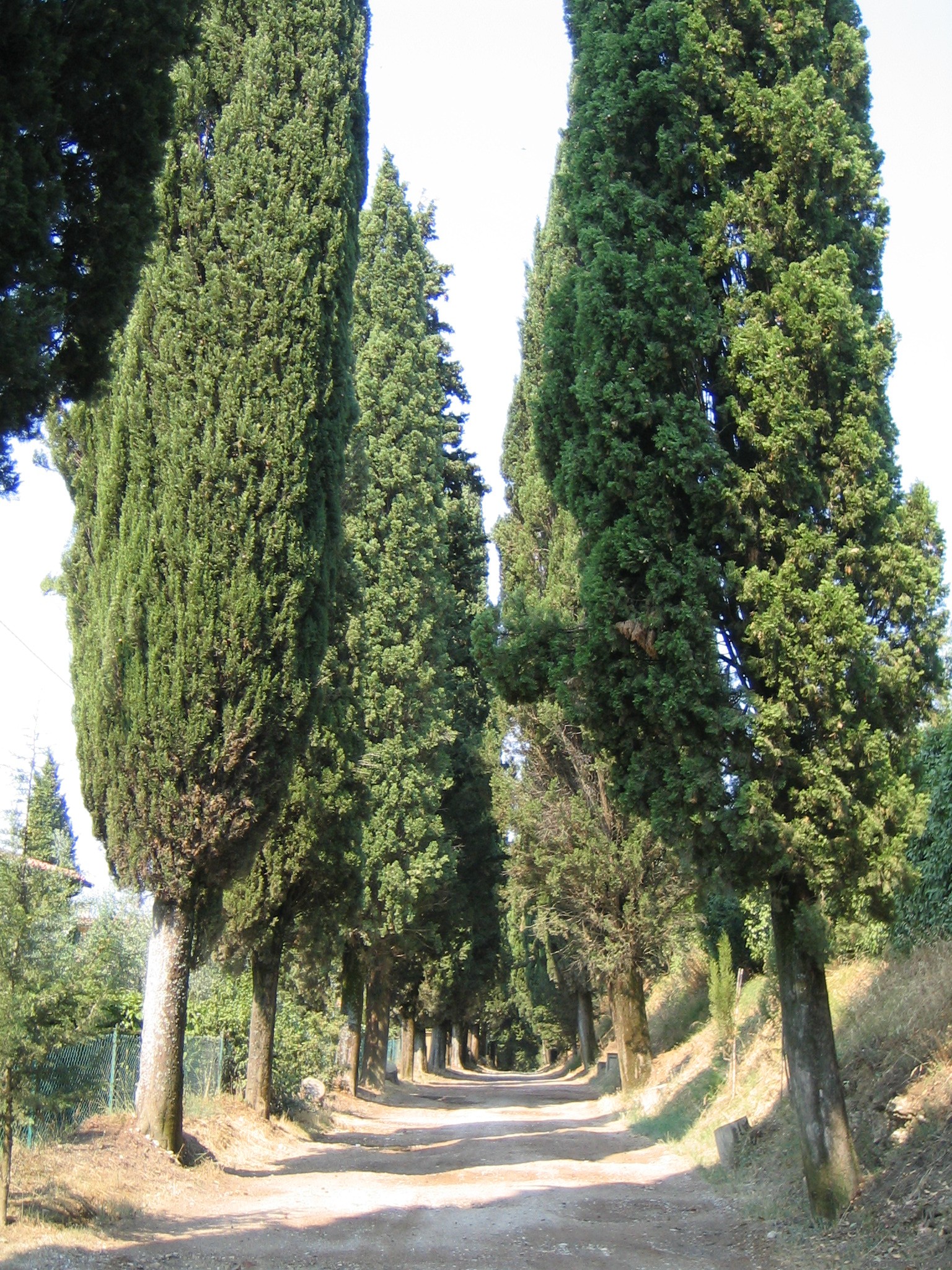 Toskana-Allee