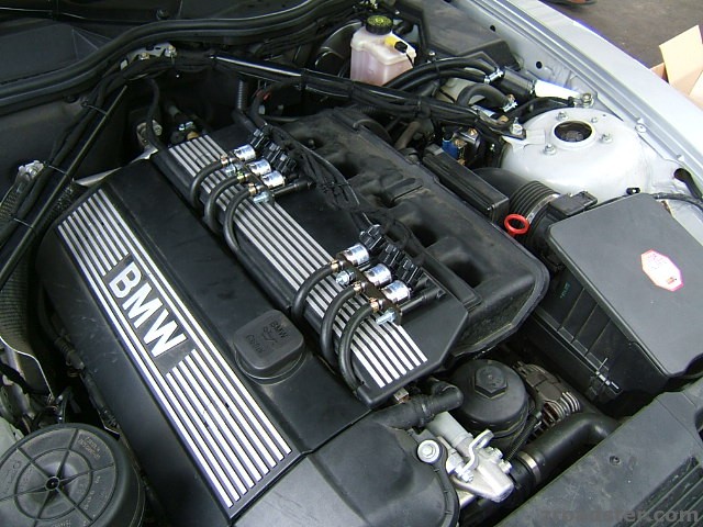 Umr_stung_auf_Gas_Z4_032