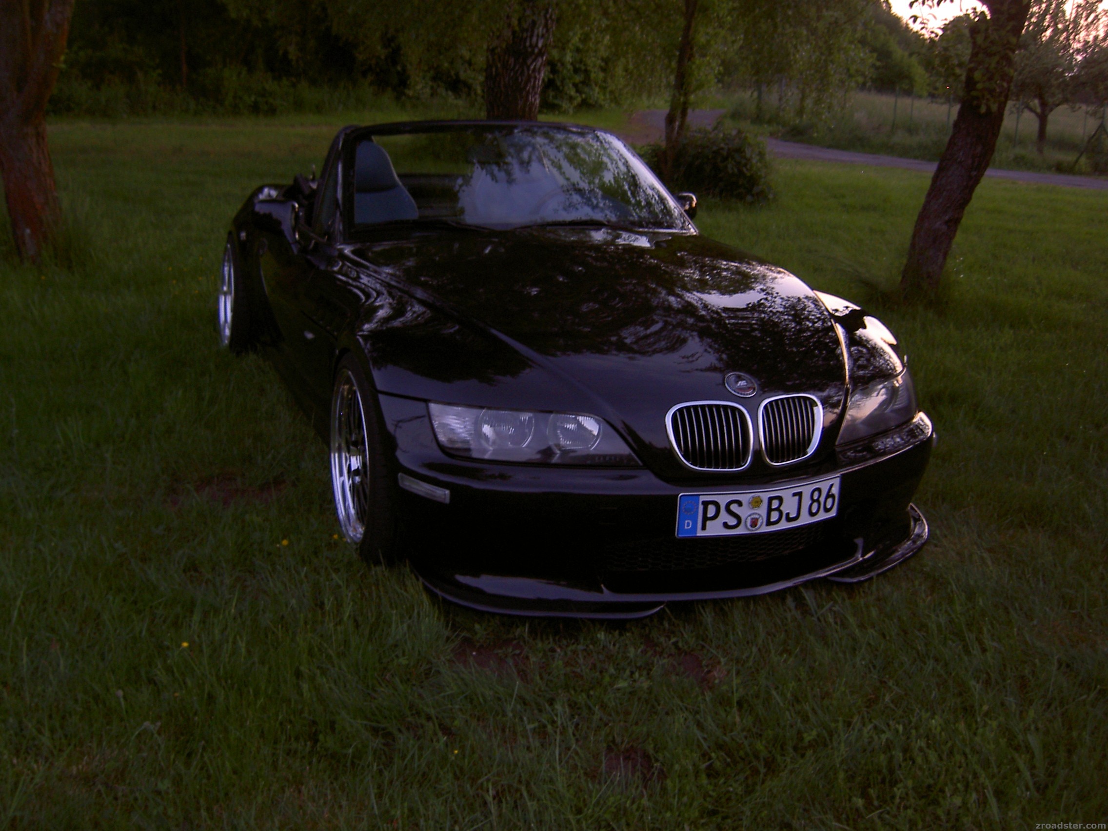 verschlossene Nebler, Schnitzer Flipper und Emblem