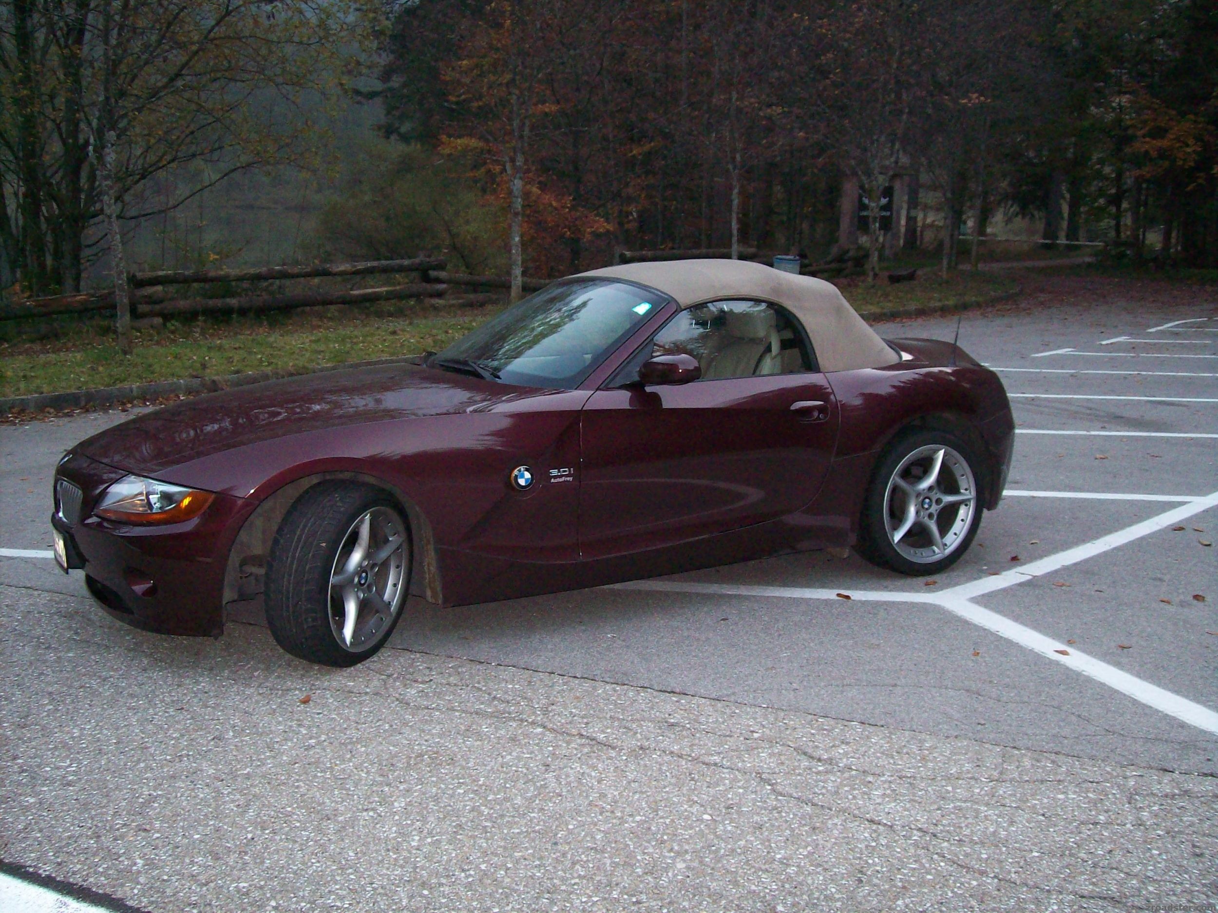 wahrscheinlich die letzten Fotos vorm Einwintern