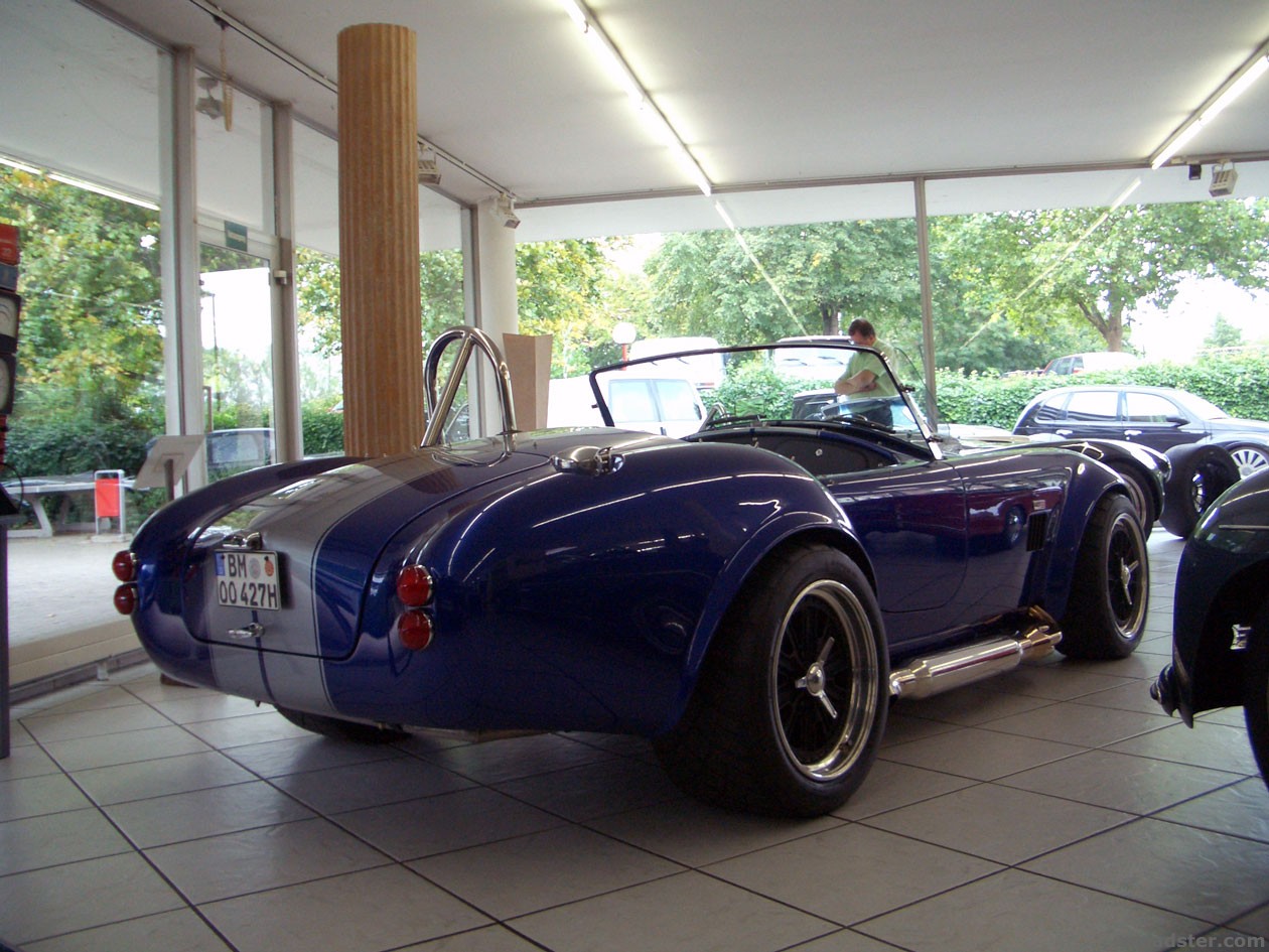 Weineck Cobra - die Wilde