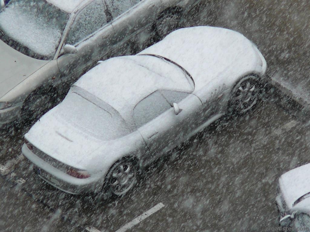 winter