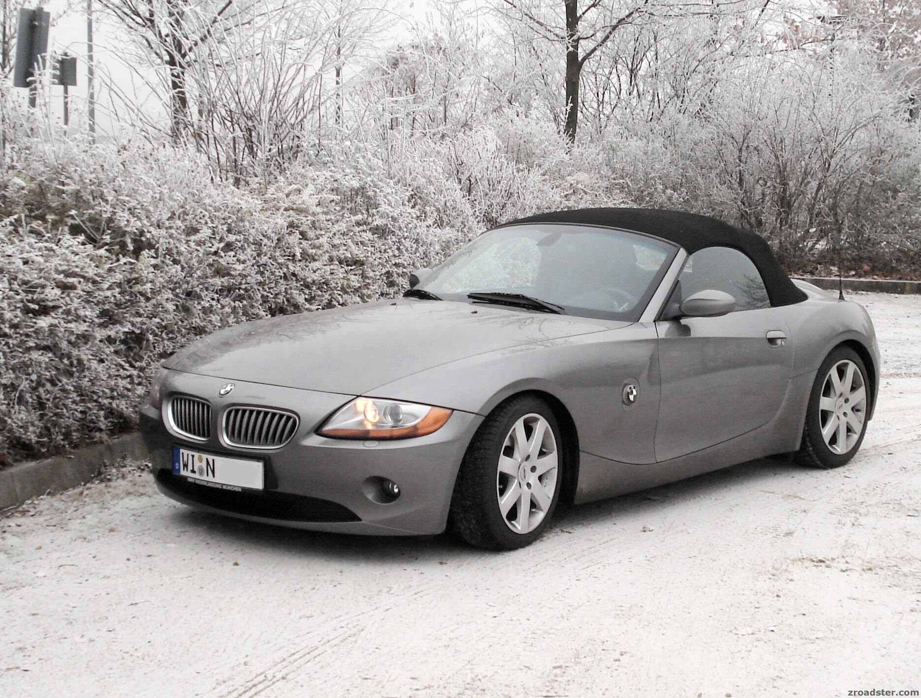 WinterZ41