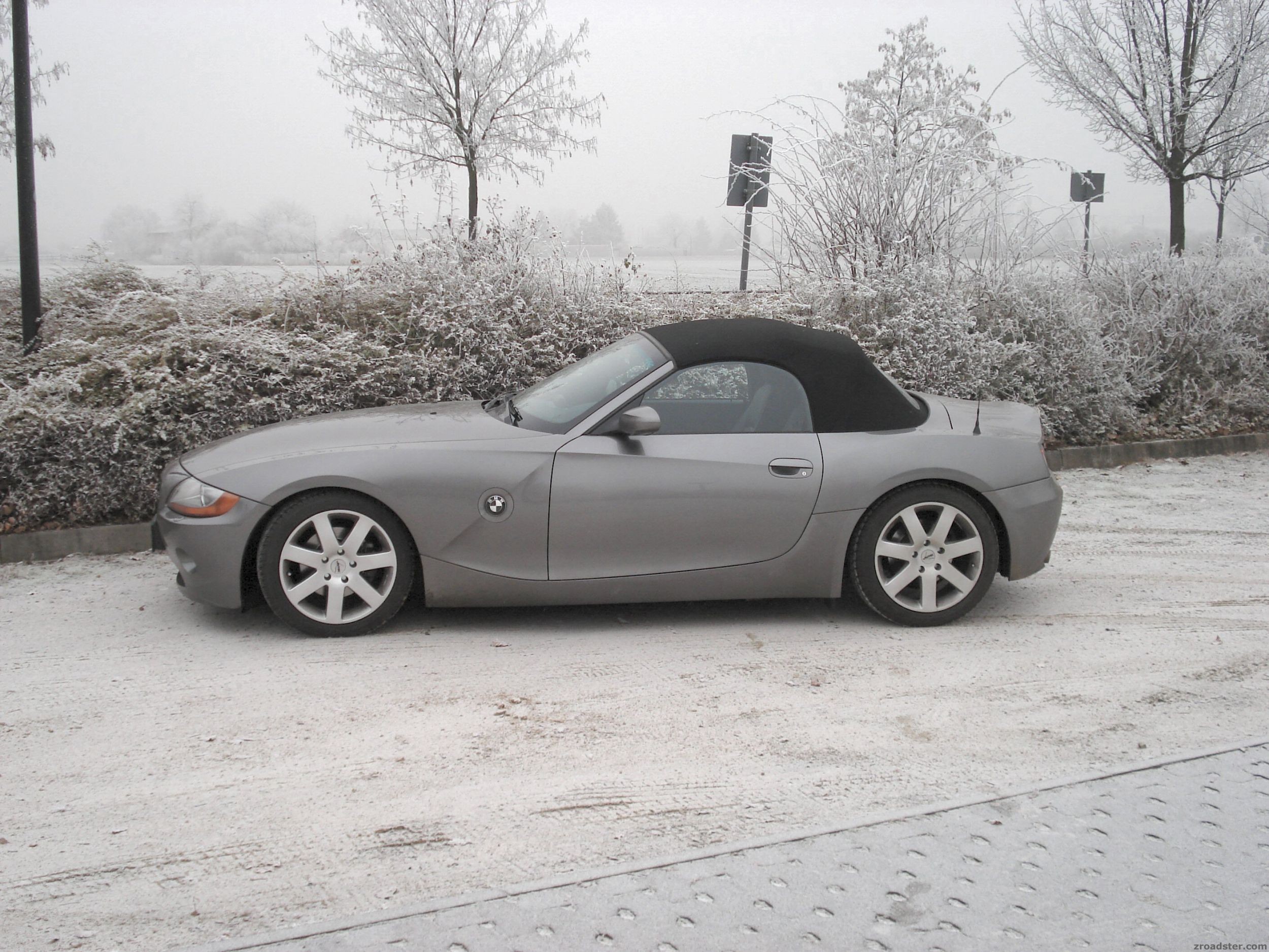 WinterZ43